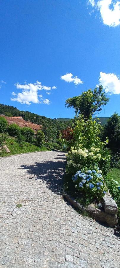 Casa Do Loureiro Holiday home *