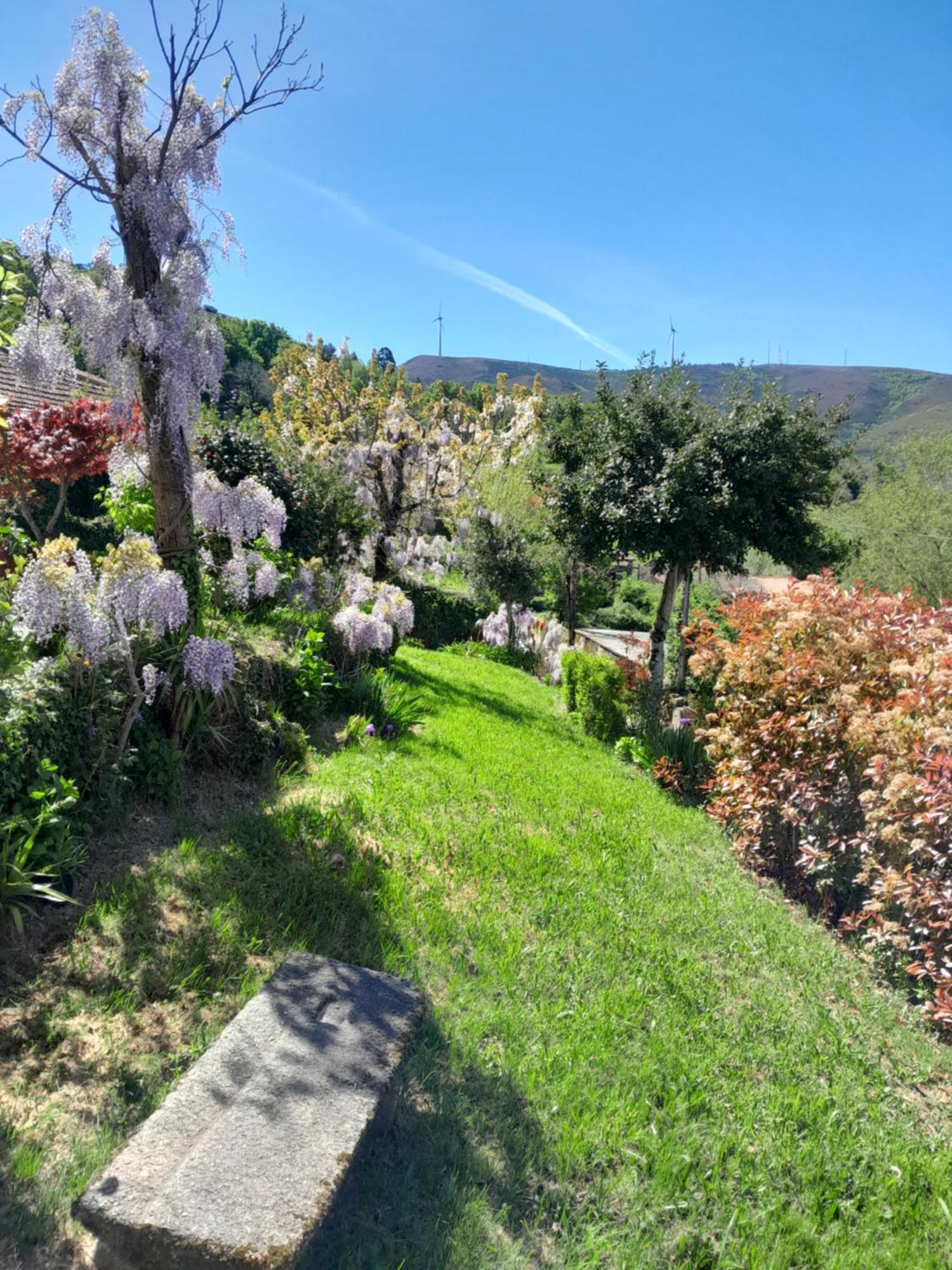 Casa Do Loureiro Holiday home